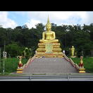 Buddha Sukto Gotama